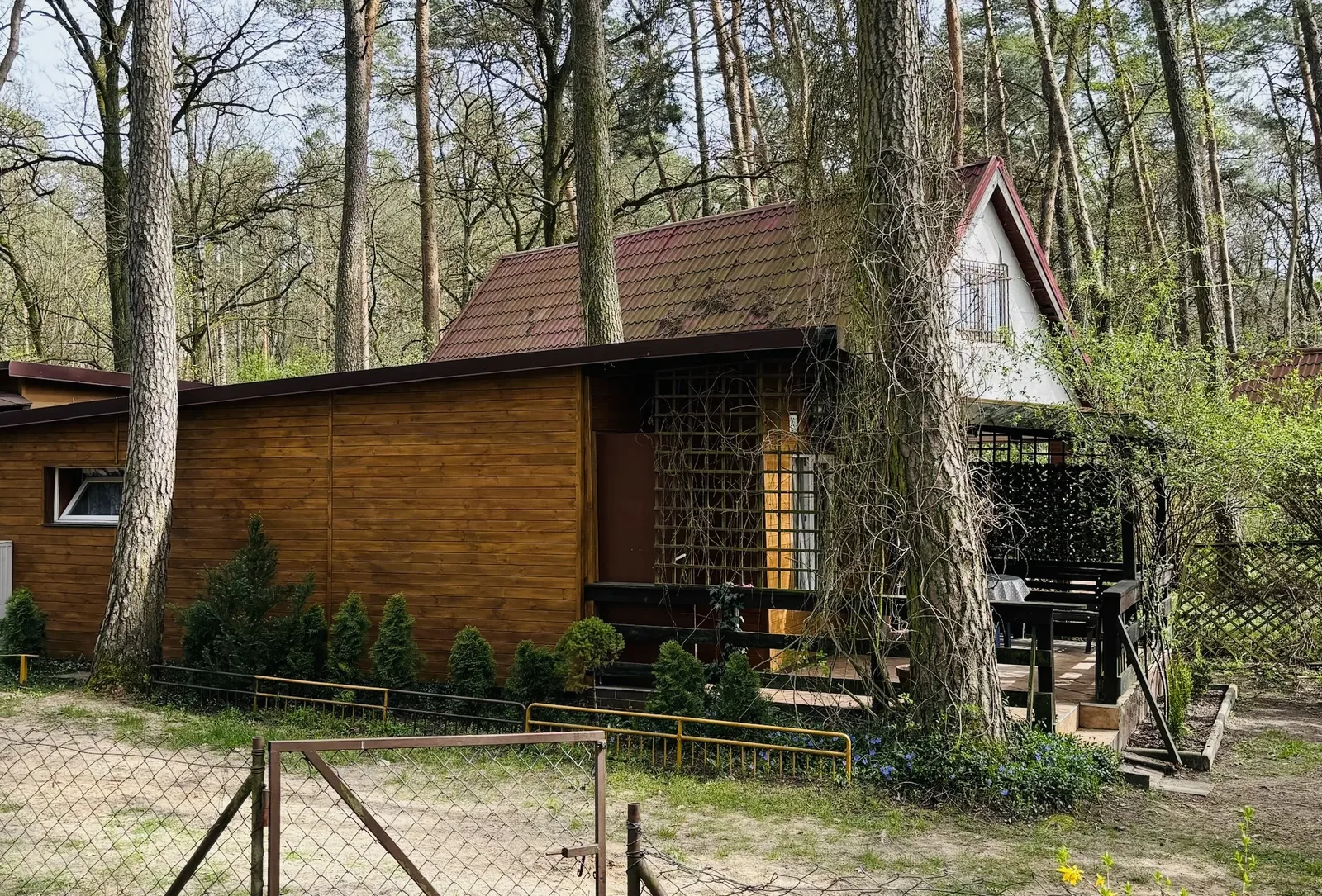 Widok na plażę w Kamionkach Małych